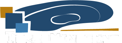 TerraMinesinc logo